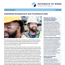 Download Subsidized Employment and Transitional Jobs